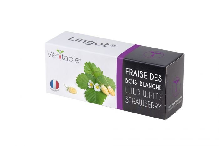 Семена бели диви ягоди VERITABLE Lingot® White Wild Strawberry 